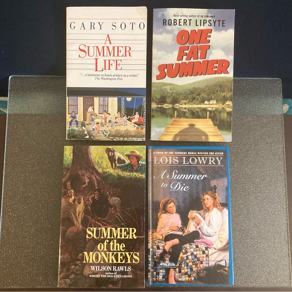 4 VTG summer novels 🌳